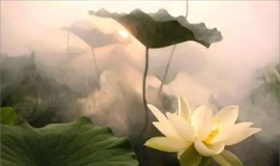 哪里有适合初学者的篮球训练管理指南_2
